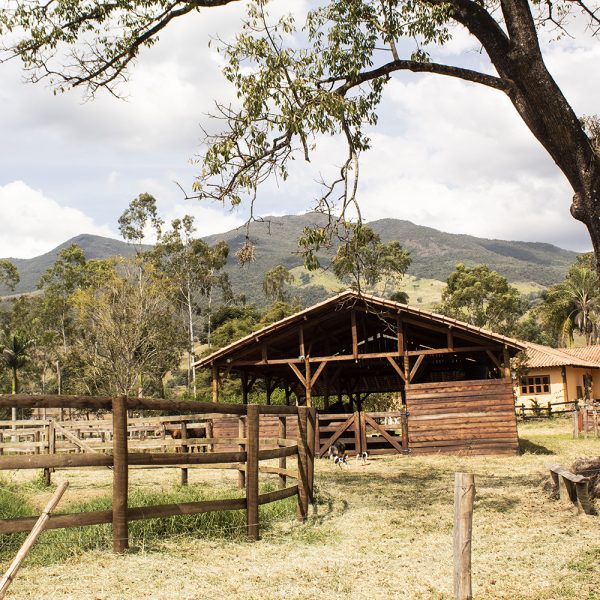 Queijo Artesanal Barões da Mantiqueira